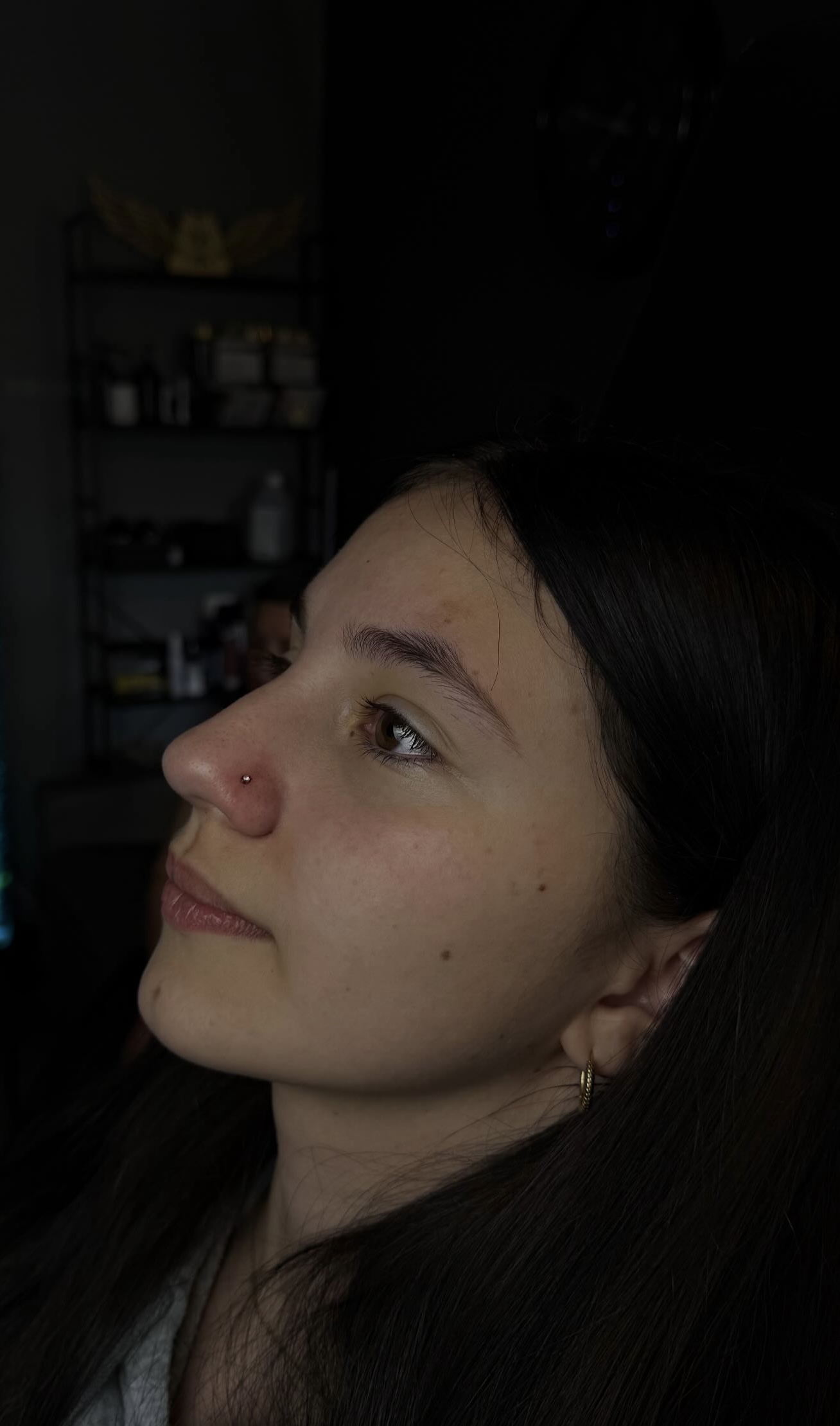 Slika 2